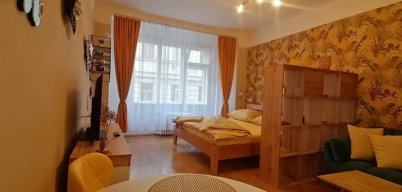 Apartment Jakubska 676 Praga