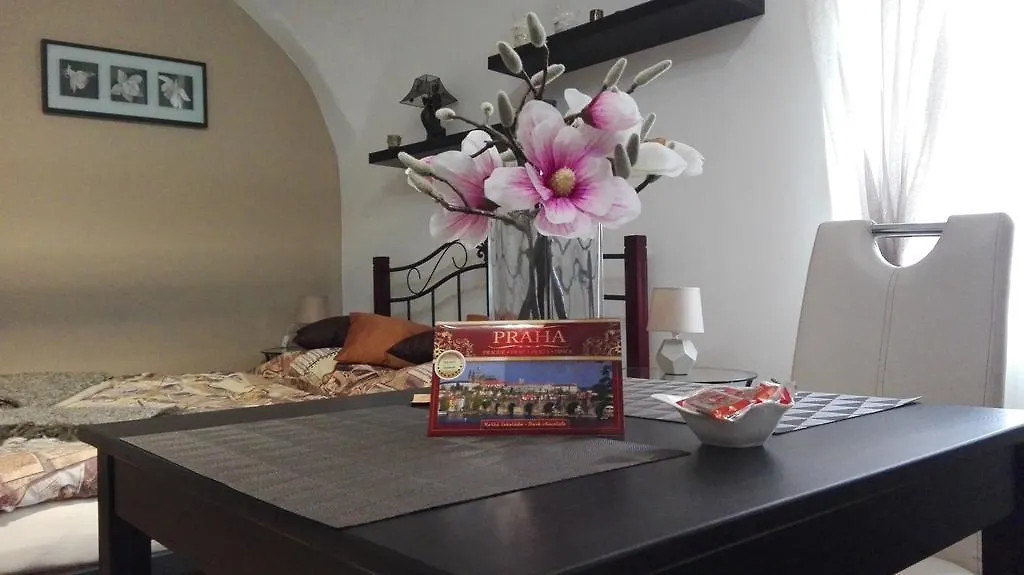 Apartment Jakubska 676 Prague Чехия